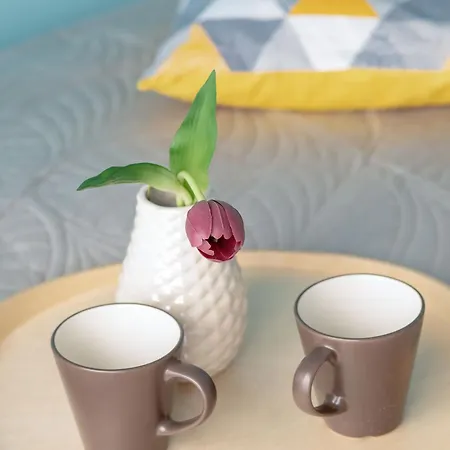 Polnocna Sypialnia, Taras & Parking By Renters *